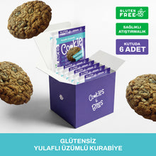 Glütensiz Yulaflı Üzümlü Proteinli Cookie 50 gr
