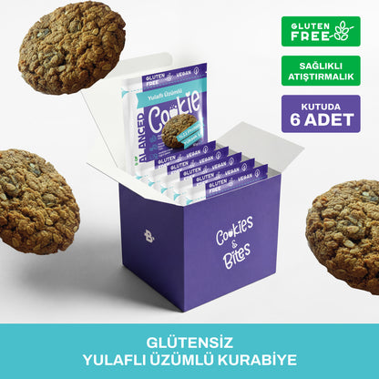 Glütensiz Yulaflı Üzümlü Proteinli Cookie 50 gr